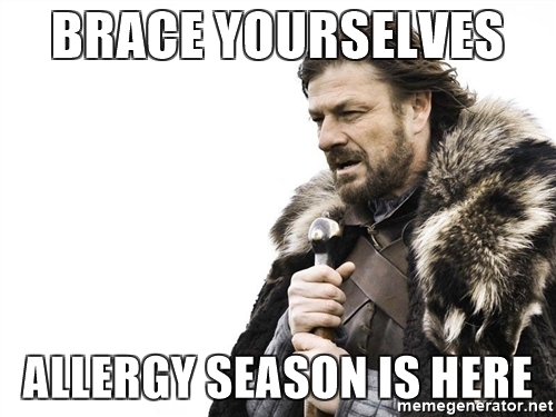 brace-yourselves-allergy-season-is-here.jpg