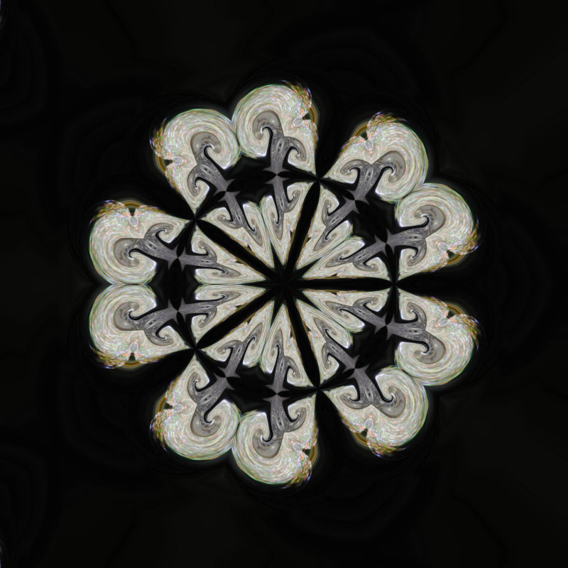 149166449369381 (12).jpg