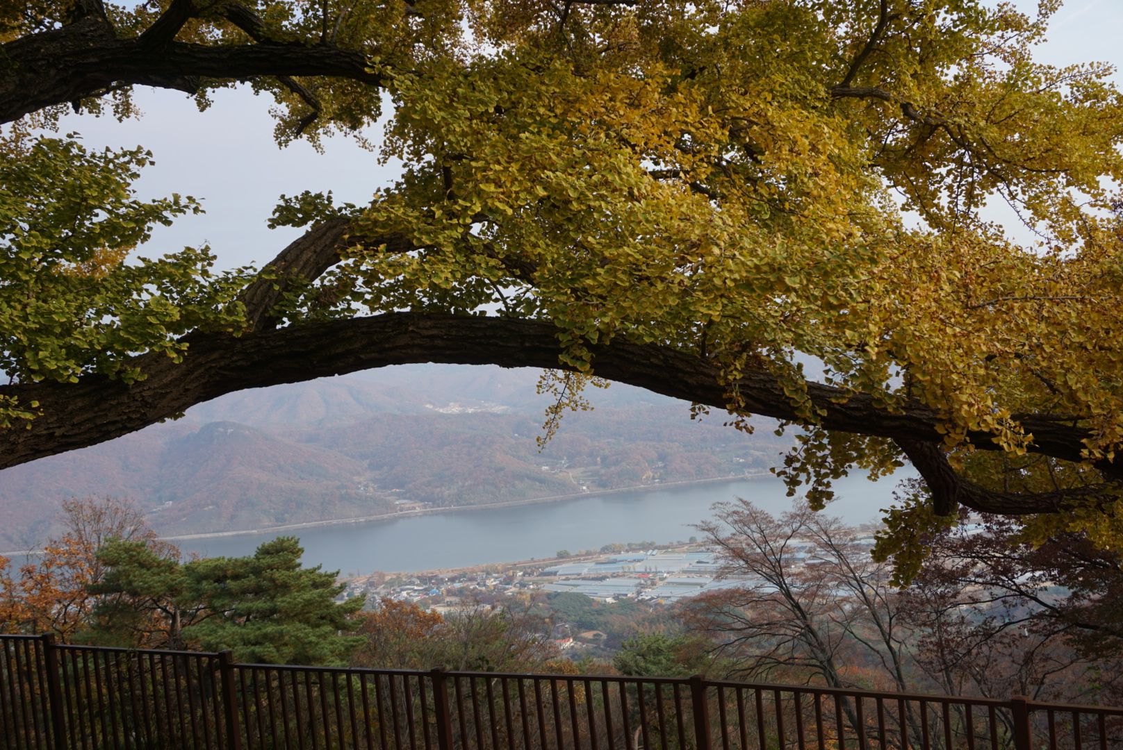 DSC09072.JPG