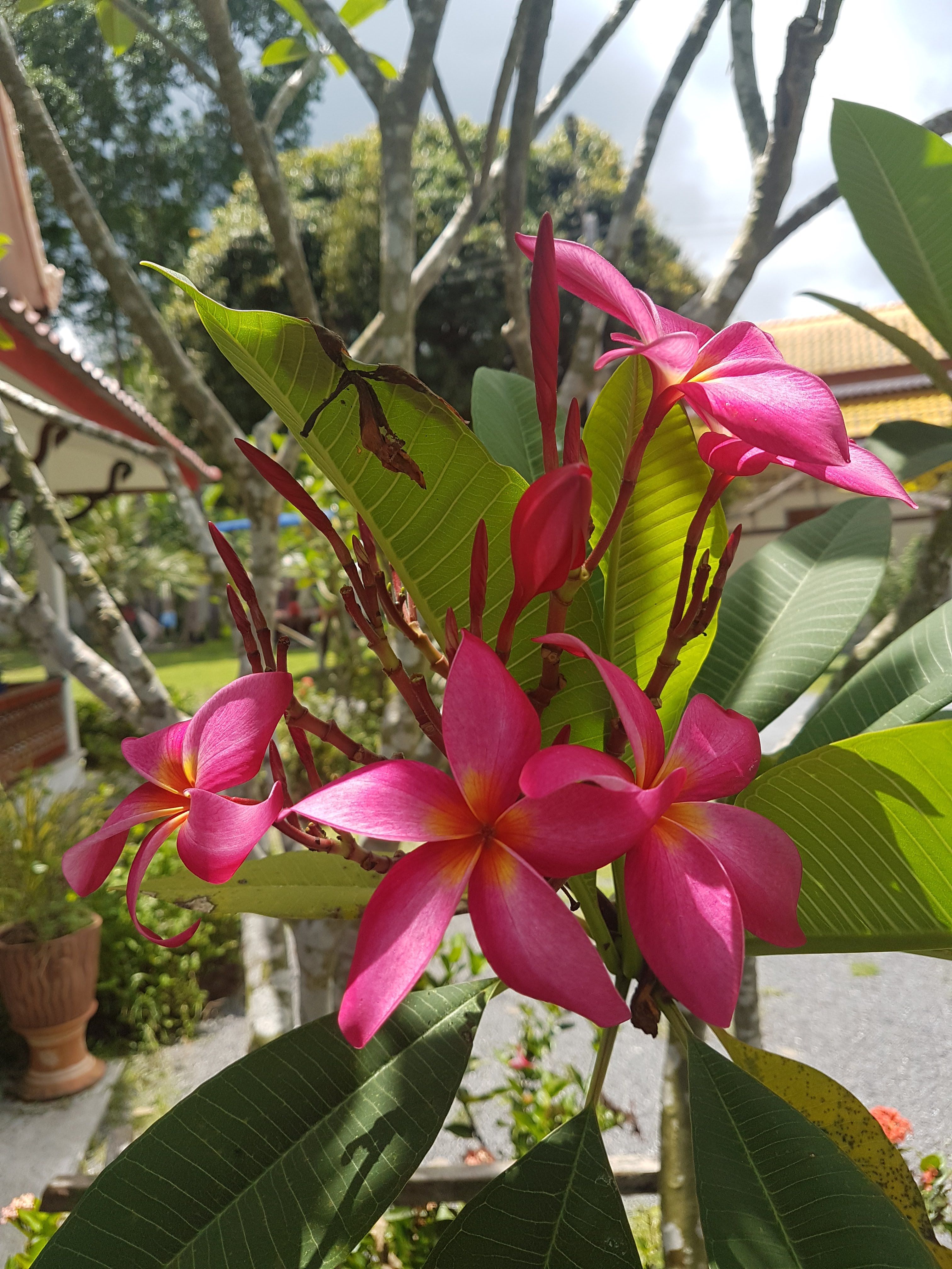 20180516_124058.jpg
