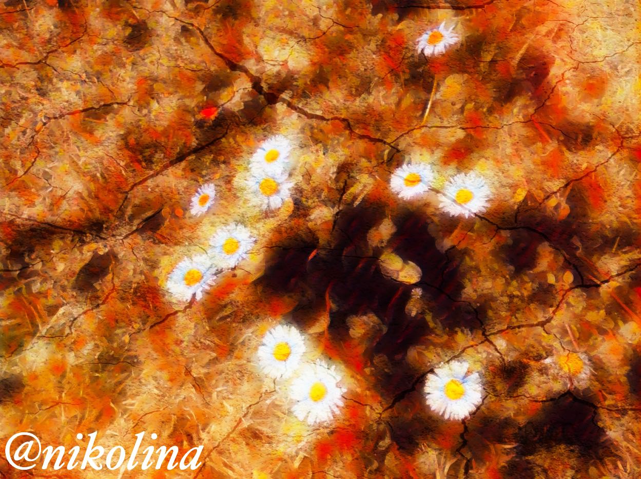 0e455a4a-0f15-4569-b9b7-a74a6f0a891e.jpg