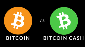 Will Bitcoin Cash Be The Real Bitcoin In The Future Steemit - 