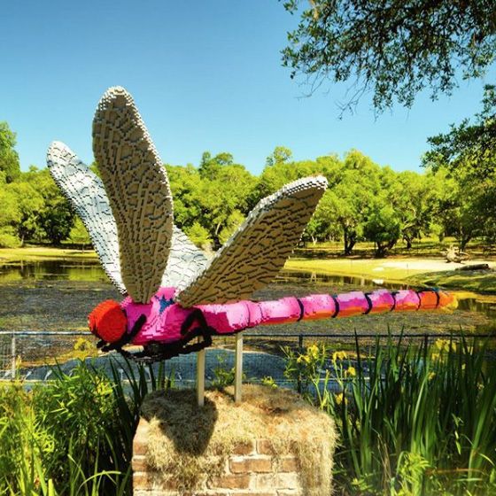 dragonflylego.jpg