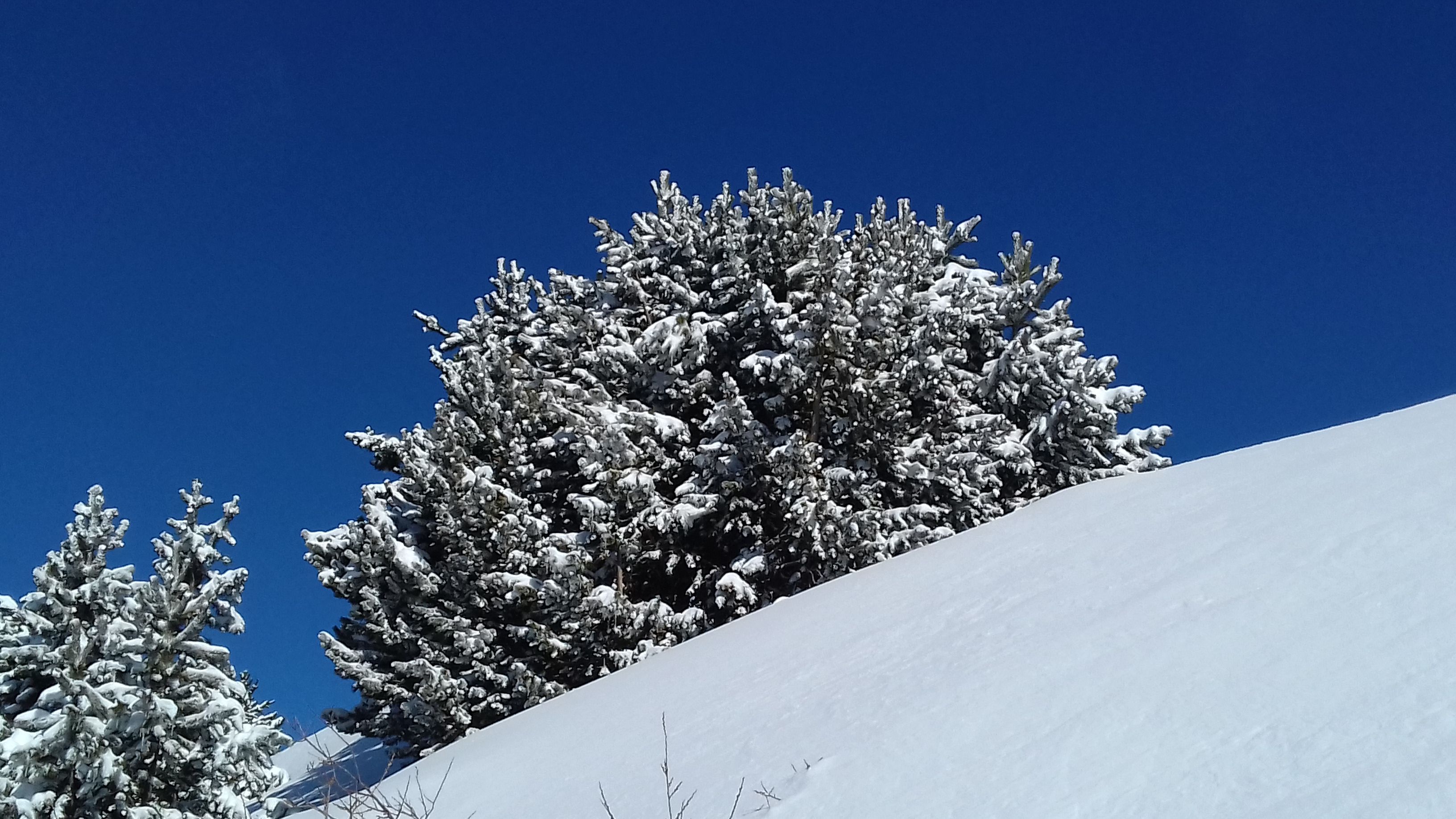 ciel bleu le gb.jpg