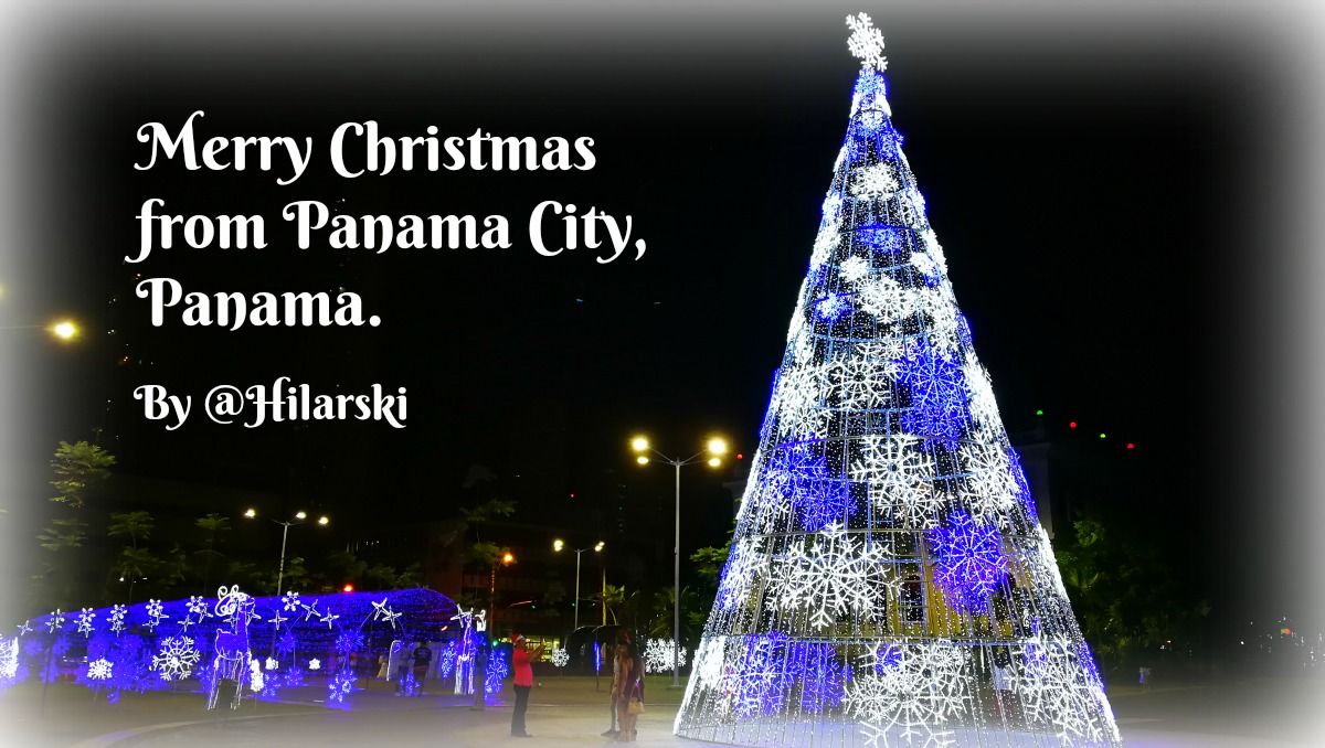 pty-christmas-tree-hilarski-panama.jpg