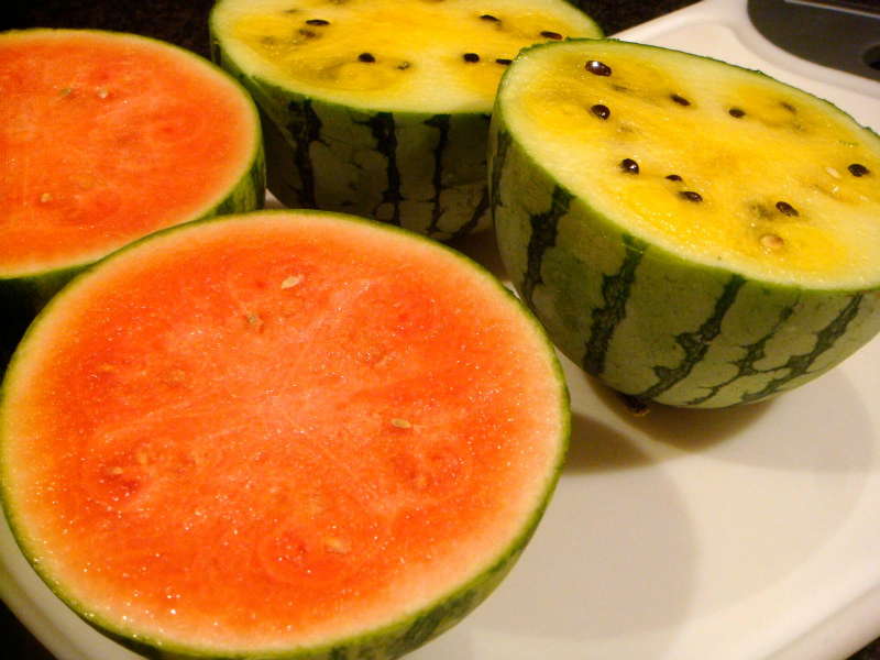 Yellow watermelon rind contains citrulline another natural viagra