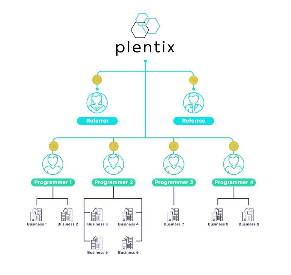 Struktur plentix.jpg