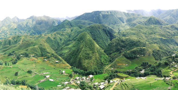 canh_16.jpg