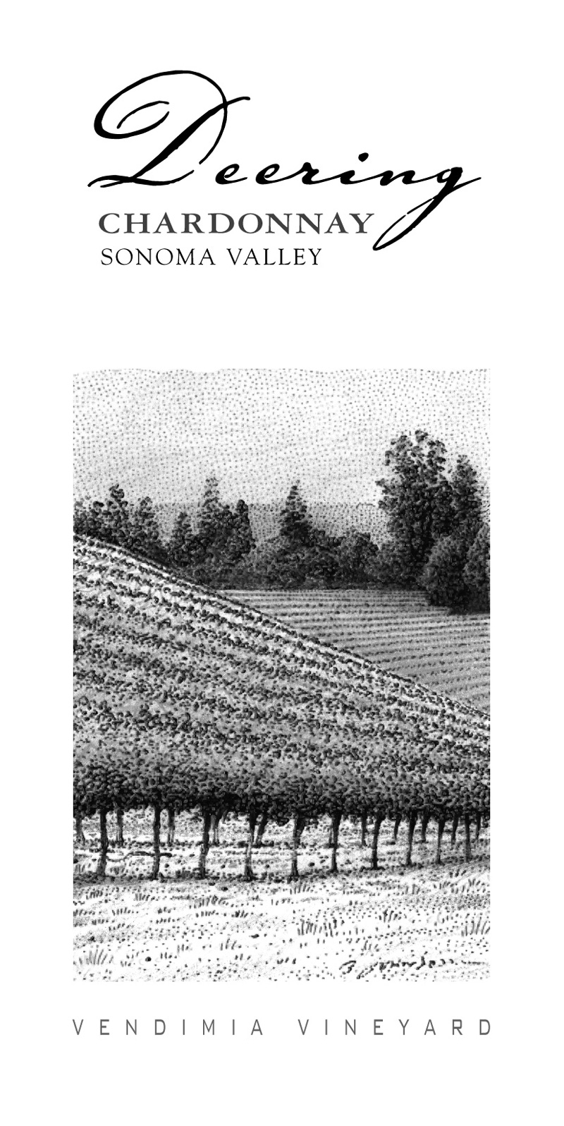 deering-vendimia-vineyard-chard.jpg