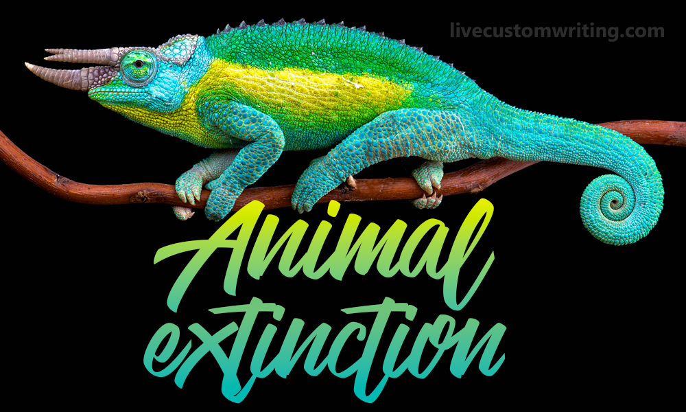 Animal essay. Cause and Effect of animal Extinction essay. Endangered species essay. Extinction of rare species. Bringing back extinct animals from the past.