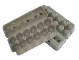 Egg Cartons.jpg