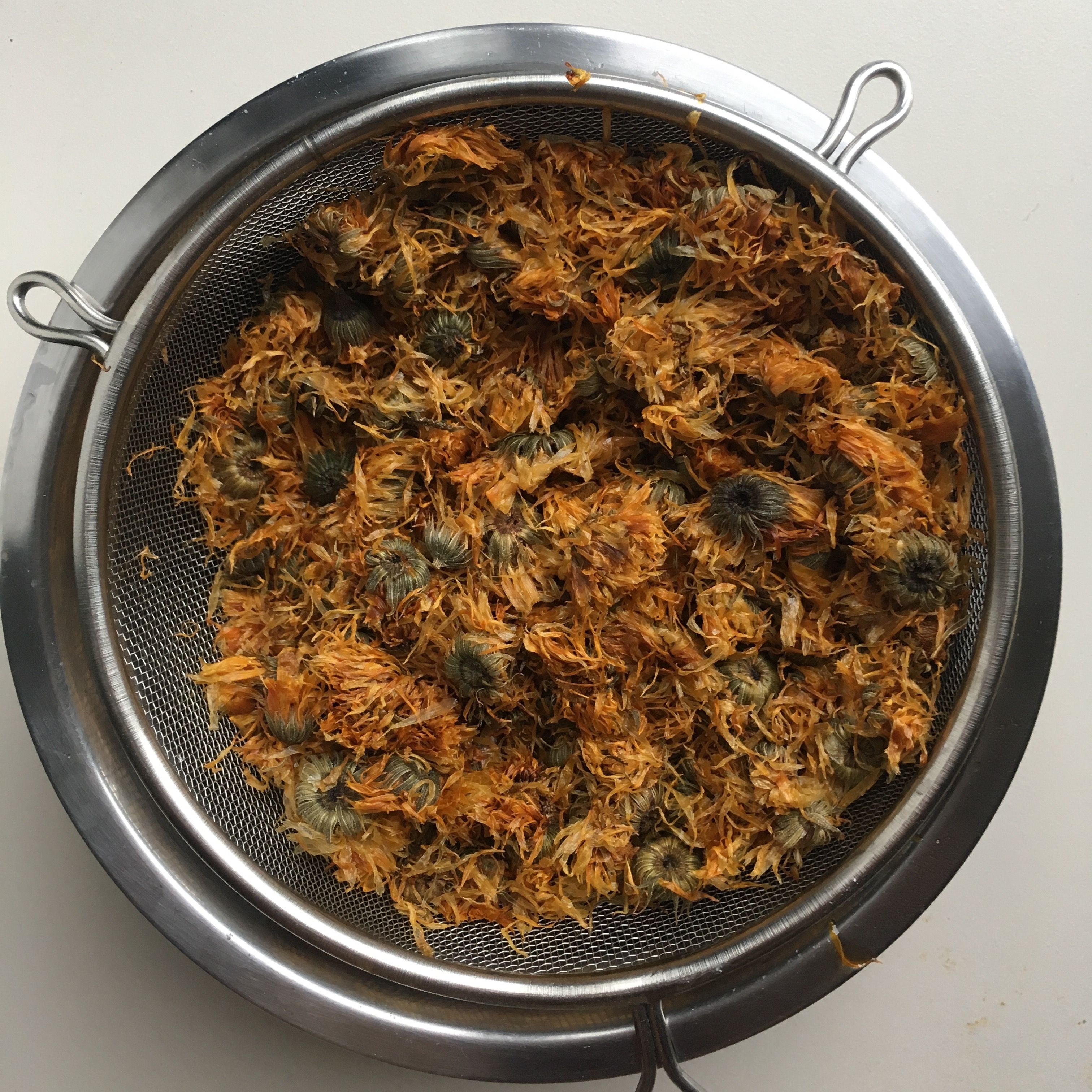 Calendula infused oil.jpg