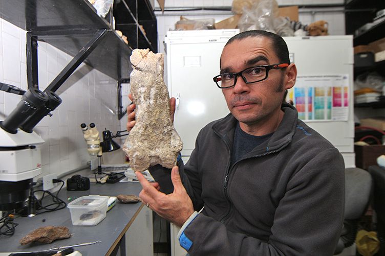 Ascanio Rincon muestra el fragmento de femur del perezoso hallado en Lara. Foto Bruno Garcia Cortesia Ivic (2).jpg