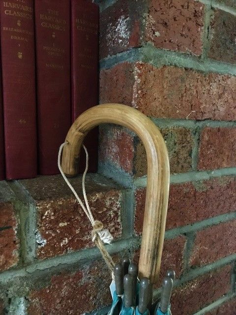 umbrellahandle.jpg