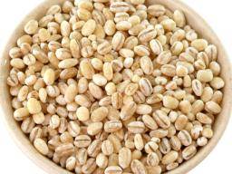 barley-in-a-bowl.jpg