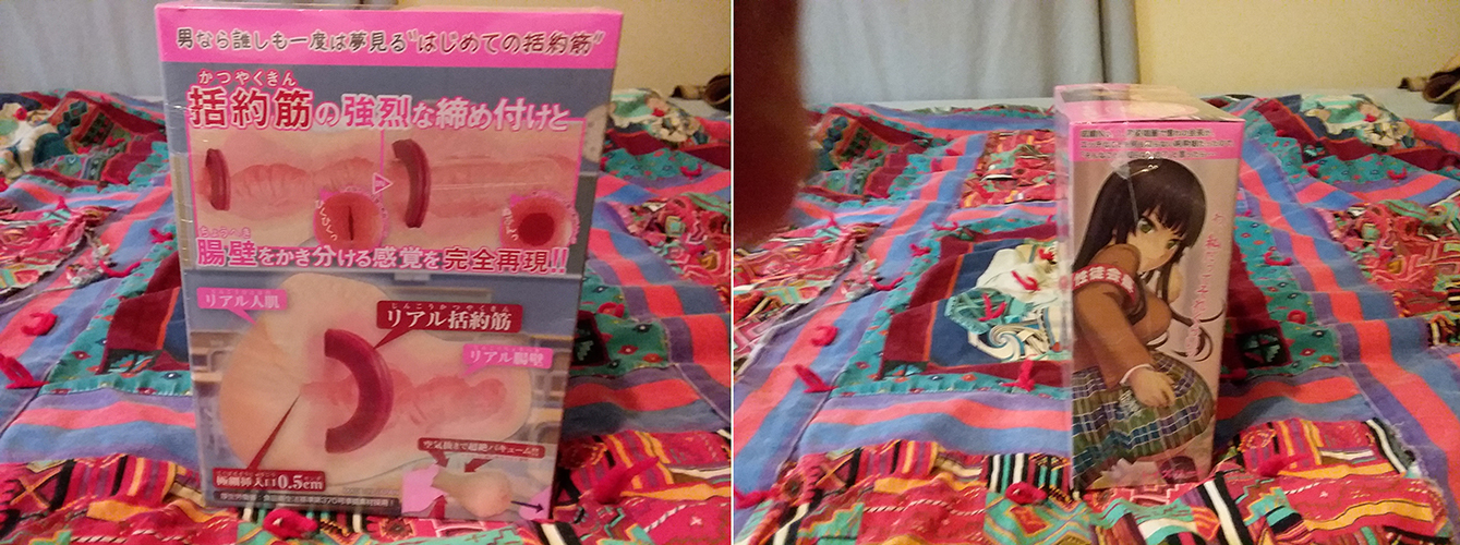 student council president onahole photo box art.jpg