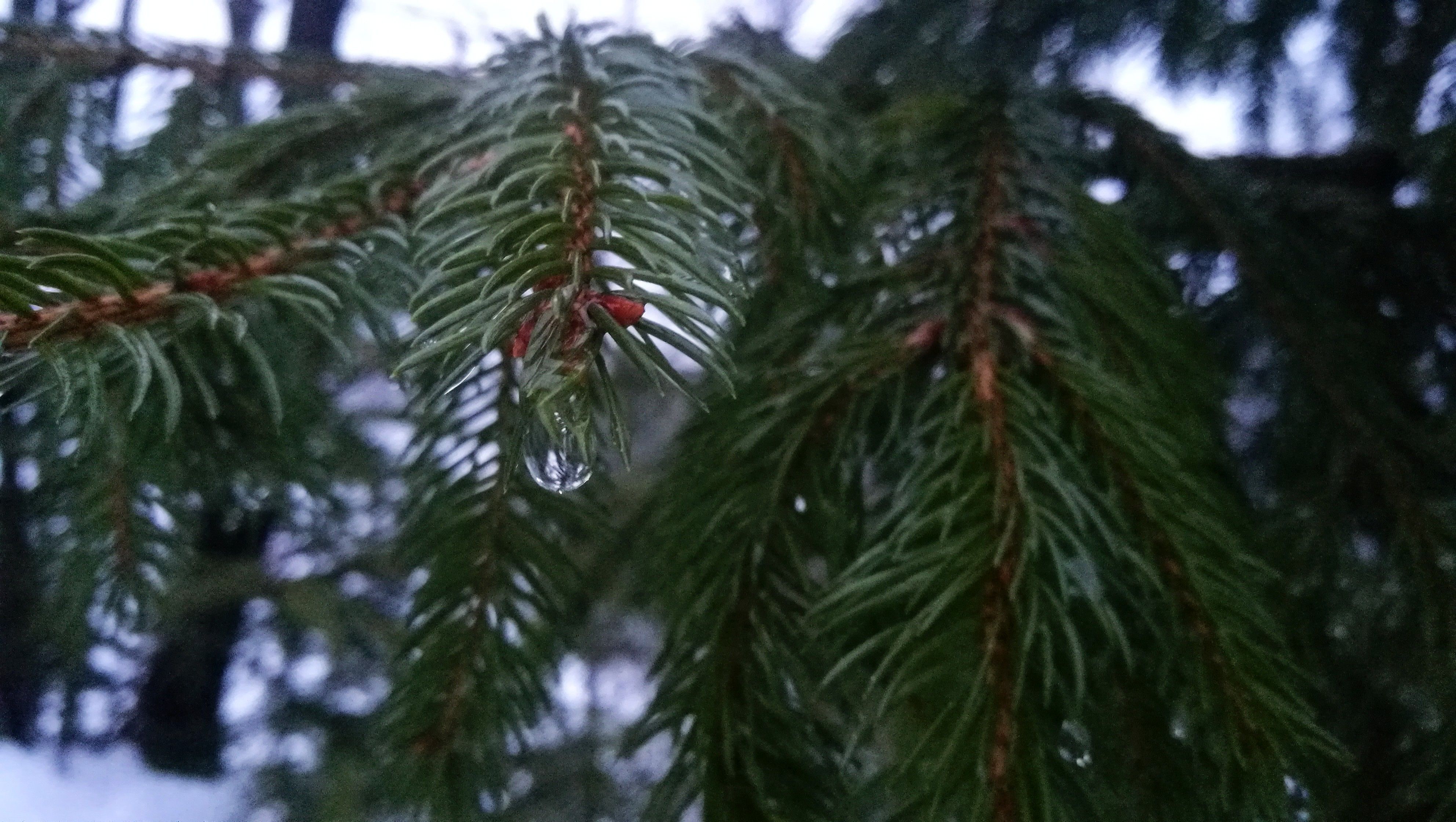 2.IMG_20180307_180114.jpg