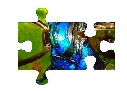 U5dtBuhWXkF5MZGtk8jx3jhoiPrtCq3_1680x8400.jpeg