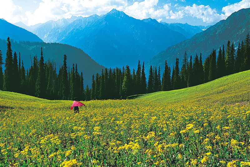 honeymoon tour to swat valley.jpg