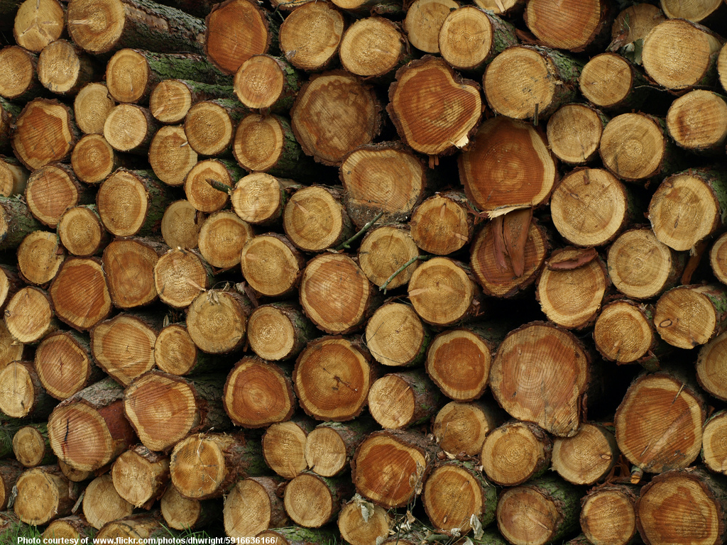 WoodStack-001-082417.jpg