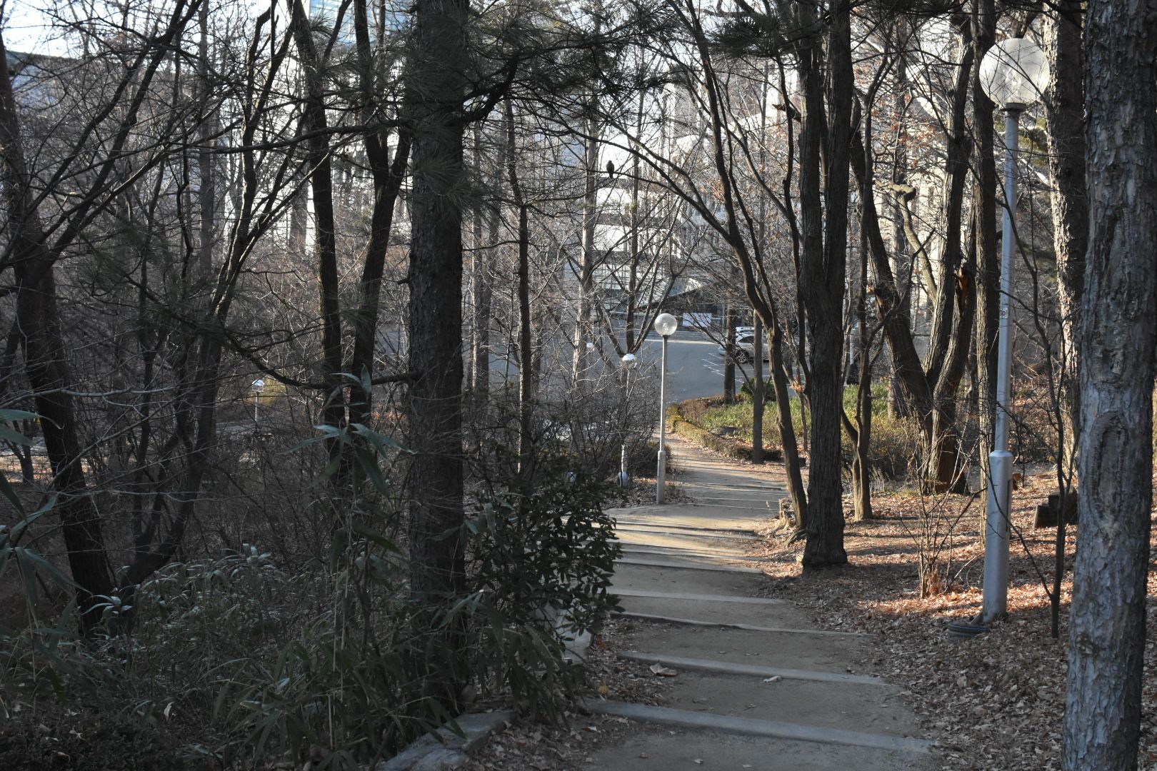 DSC_1038.JPG