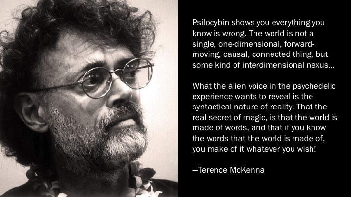 McKenna_psilocybin.jpg