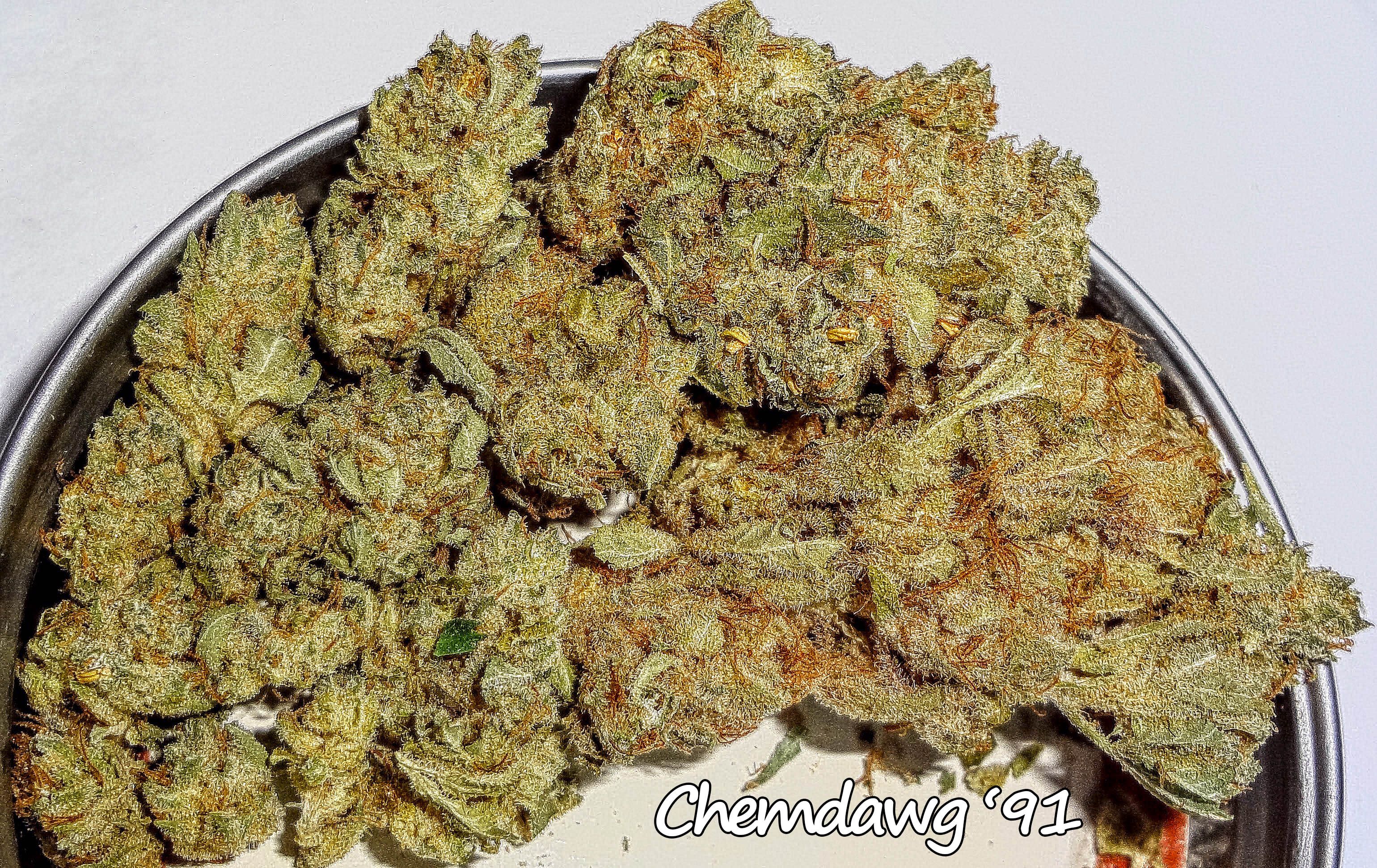 chemdawg91.JPG