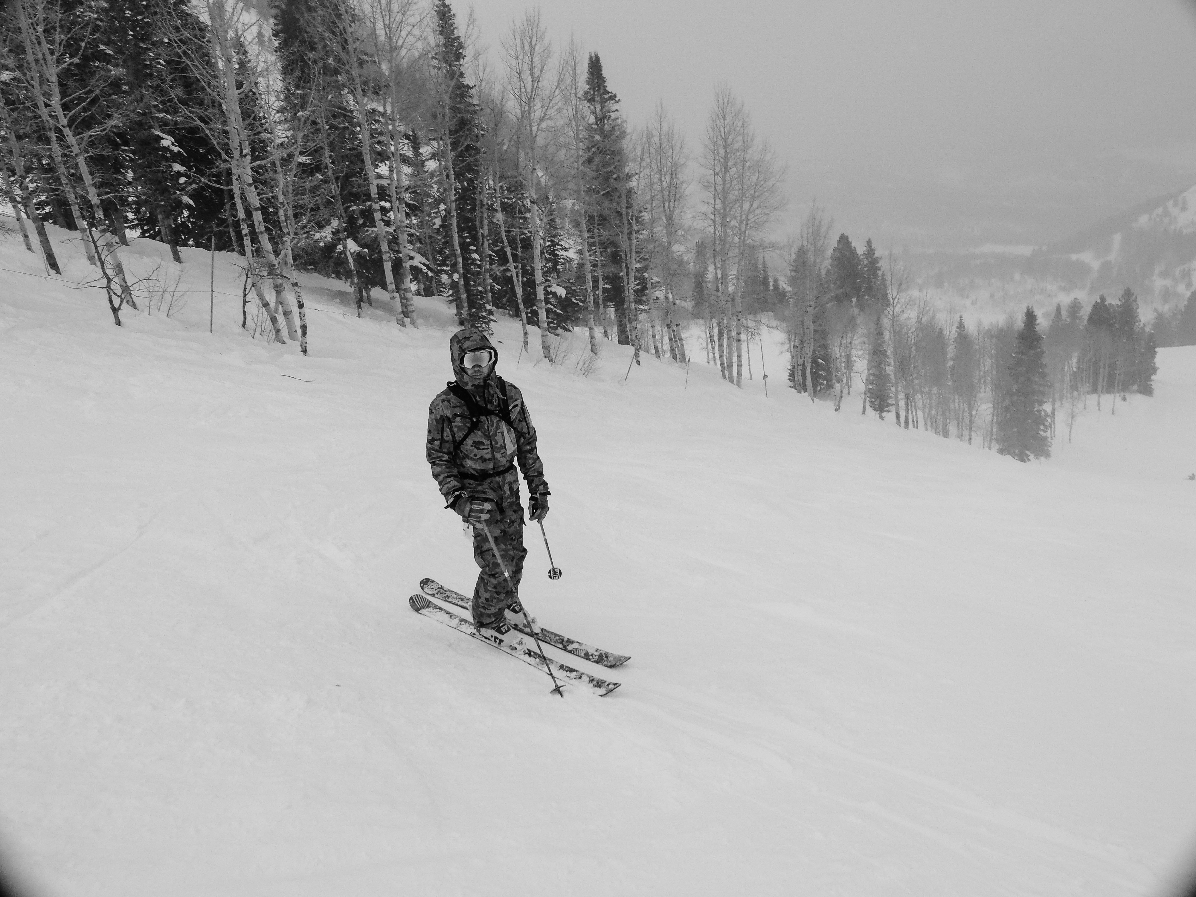 Hogi snow (1 of 1).jpg