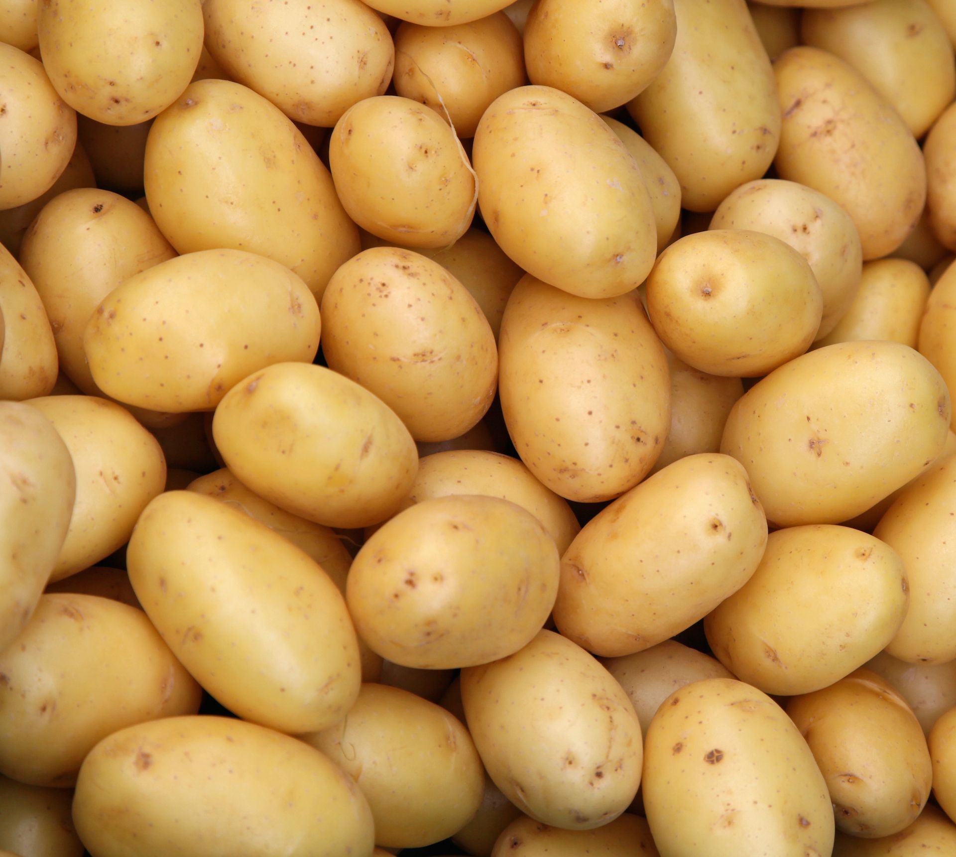 Spelling potato 'potatoe' — Steemit