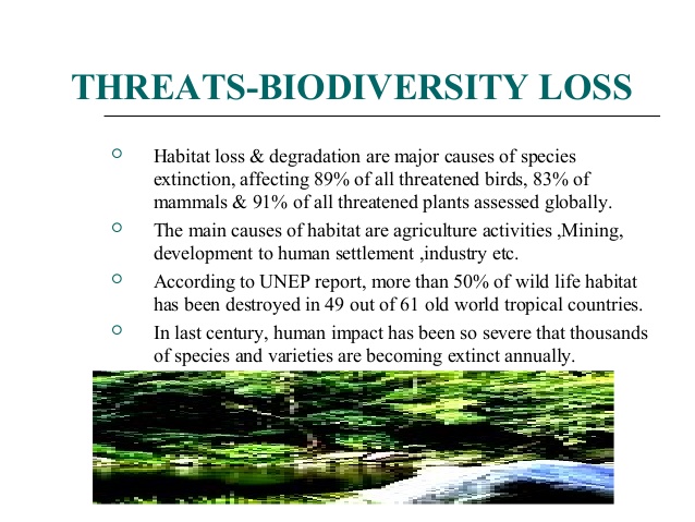 biodiversity loss.jpg