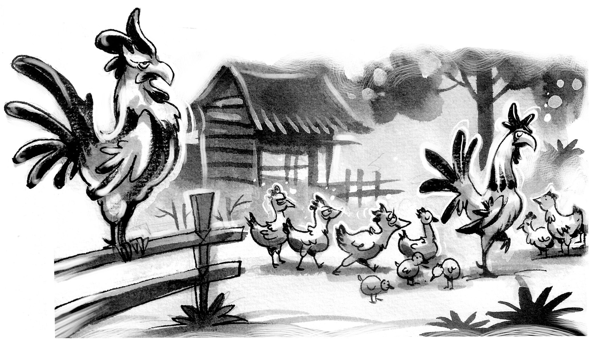 Ayam_02.jpg