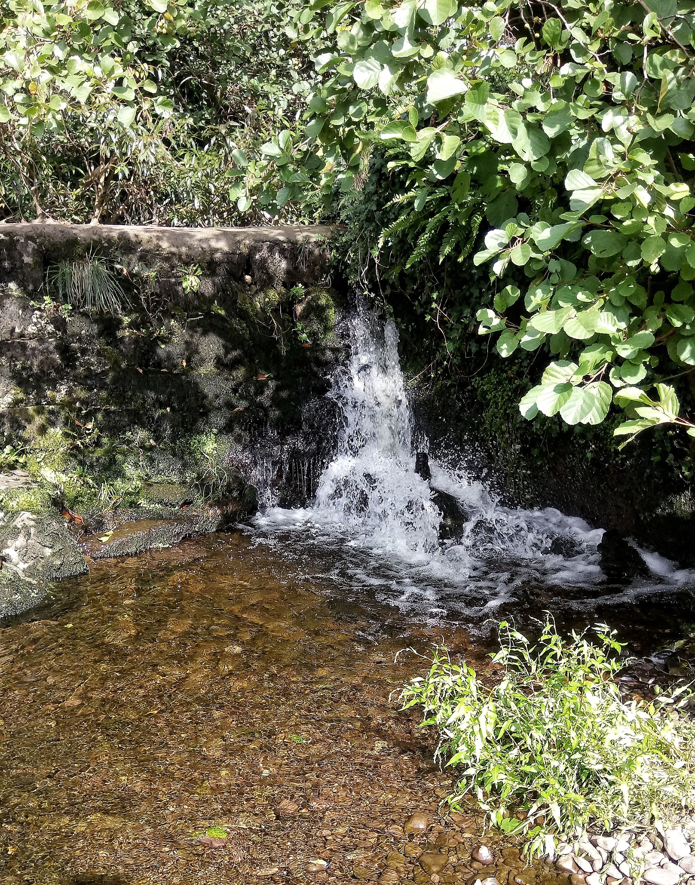 DSC_1347-01.jpeg