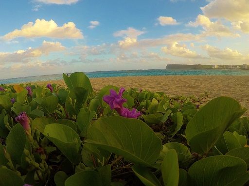 Ypao Beach morning.jpg