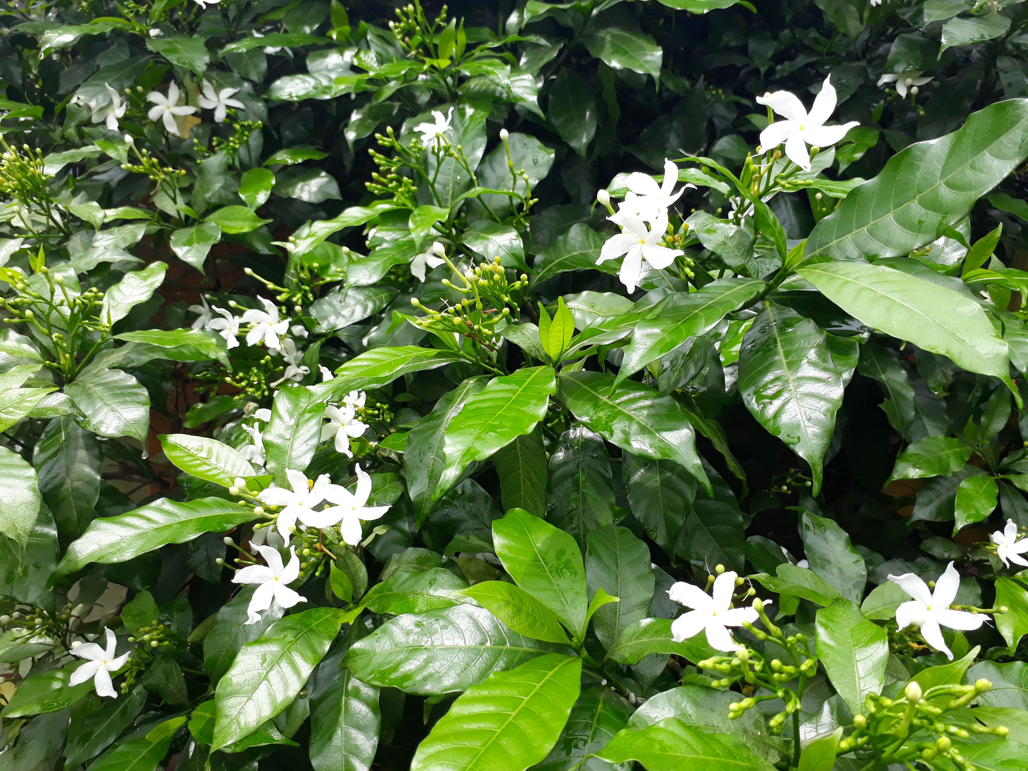 20170918_121049.jpg