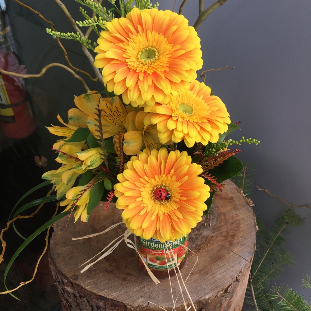 Daisy+Gerbera+Kelowna+Flowers+Florist+.jpg