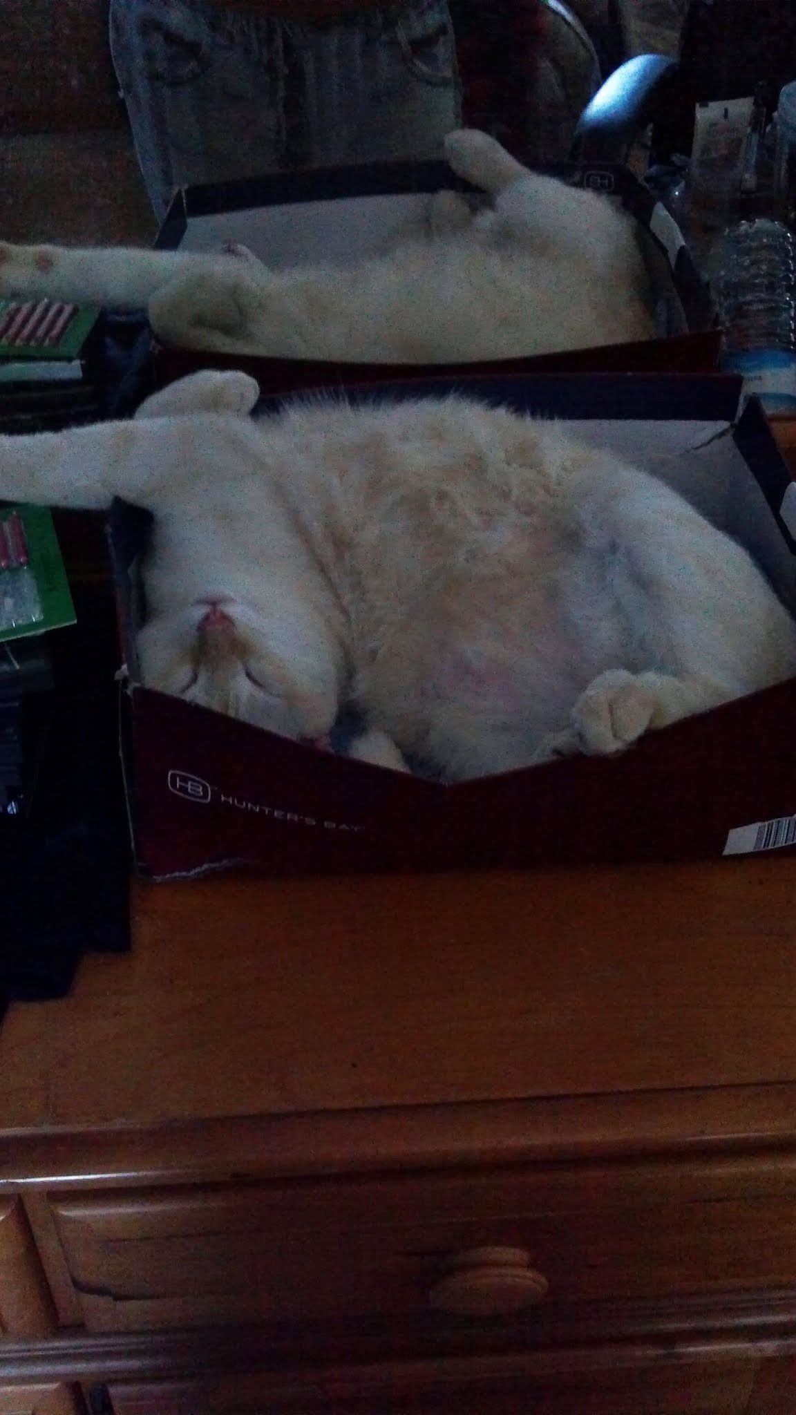 Gramas Flowers 107.jpg