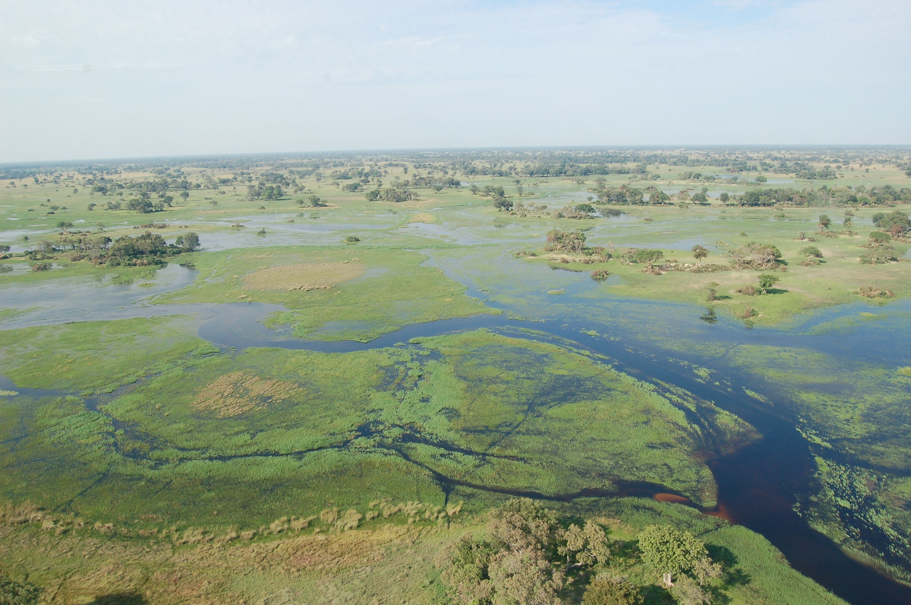 Okavango_Delta,_Botswana_(2674364913).jpg