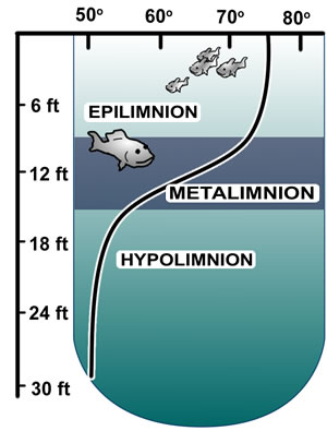 stratification.jpg