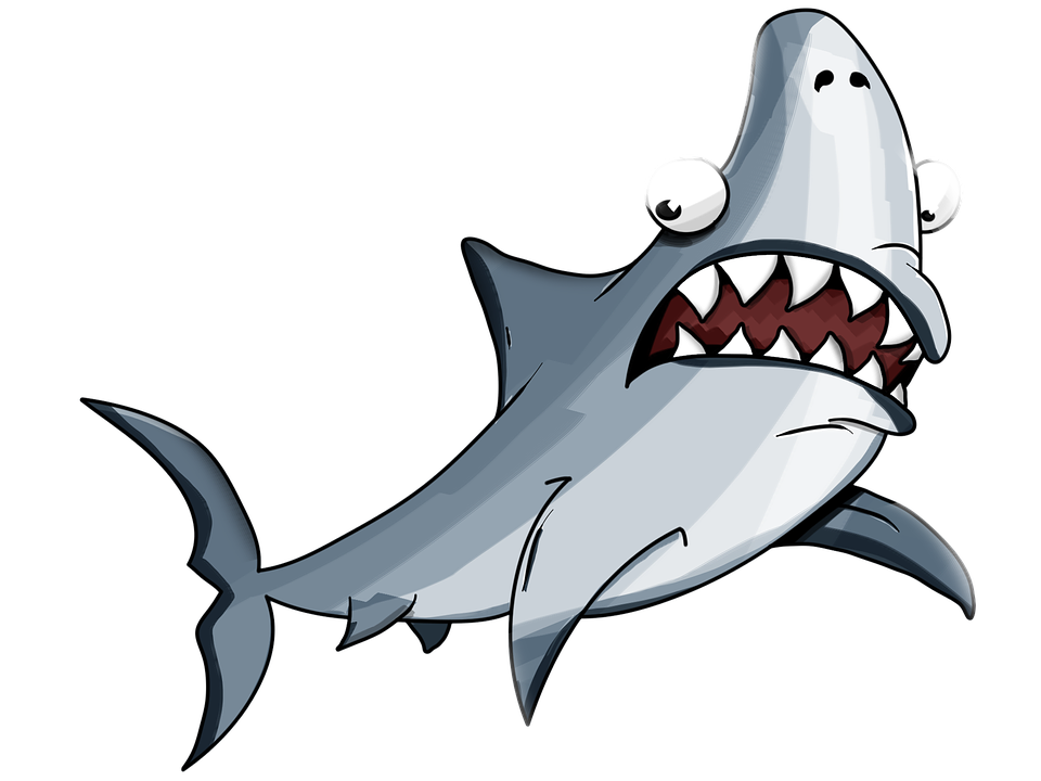 shark-2317422_960_720.png