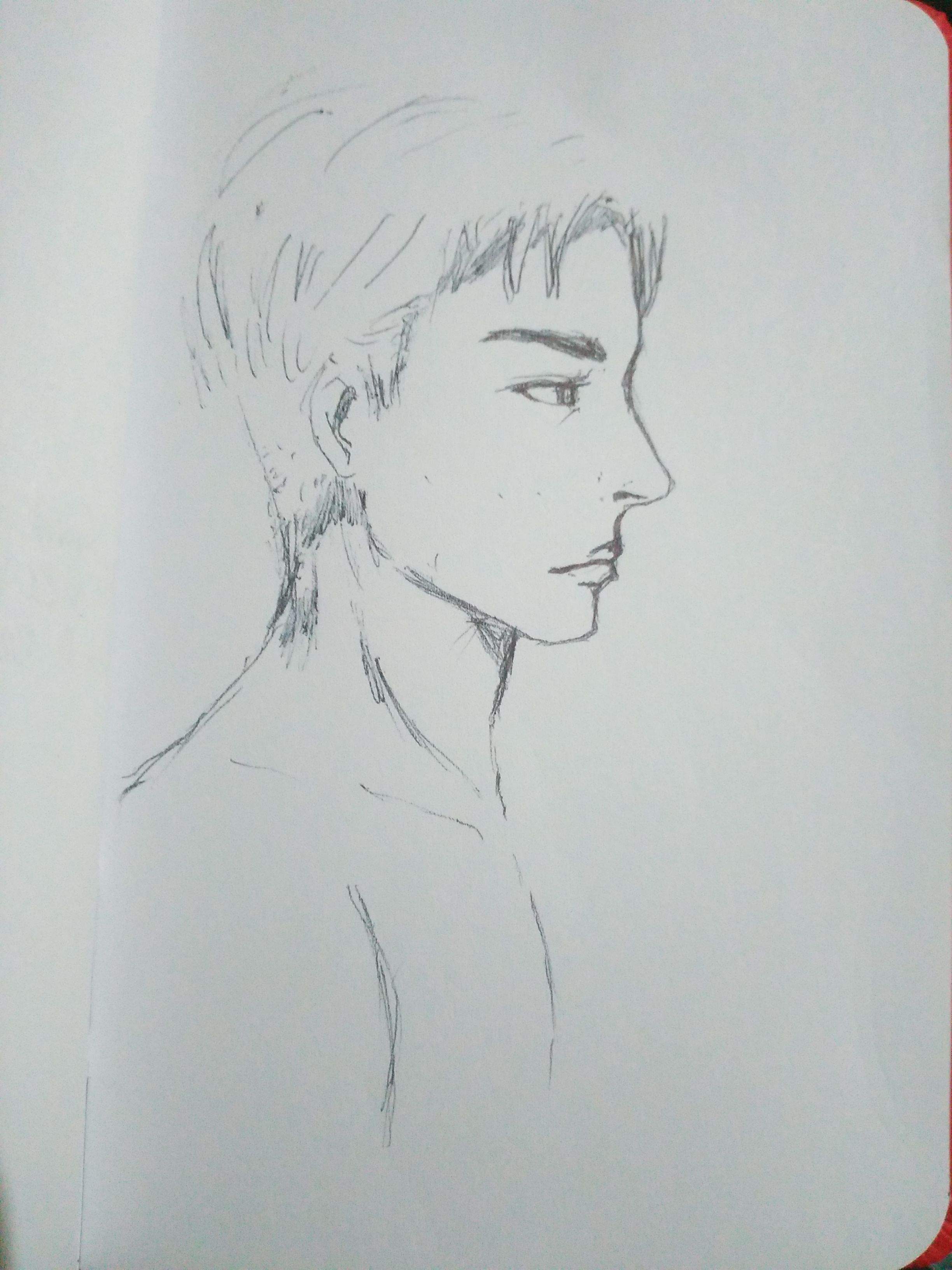 Male Head in Sideview Sketch — Steemit