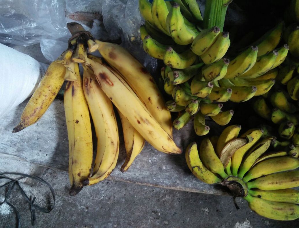 Banana from aceh to make fried food.jpg