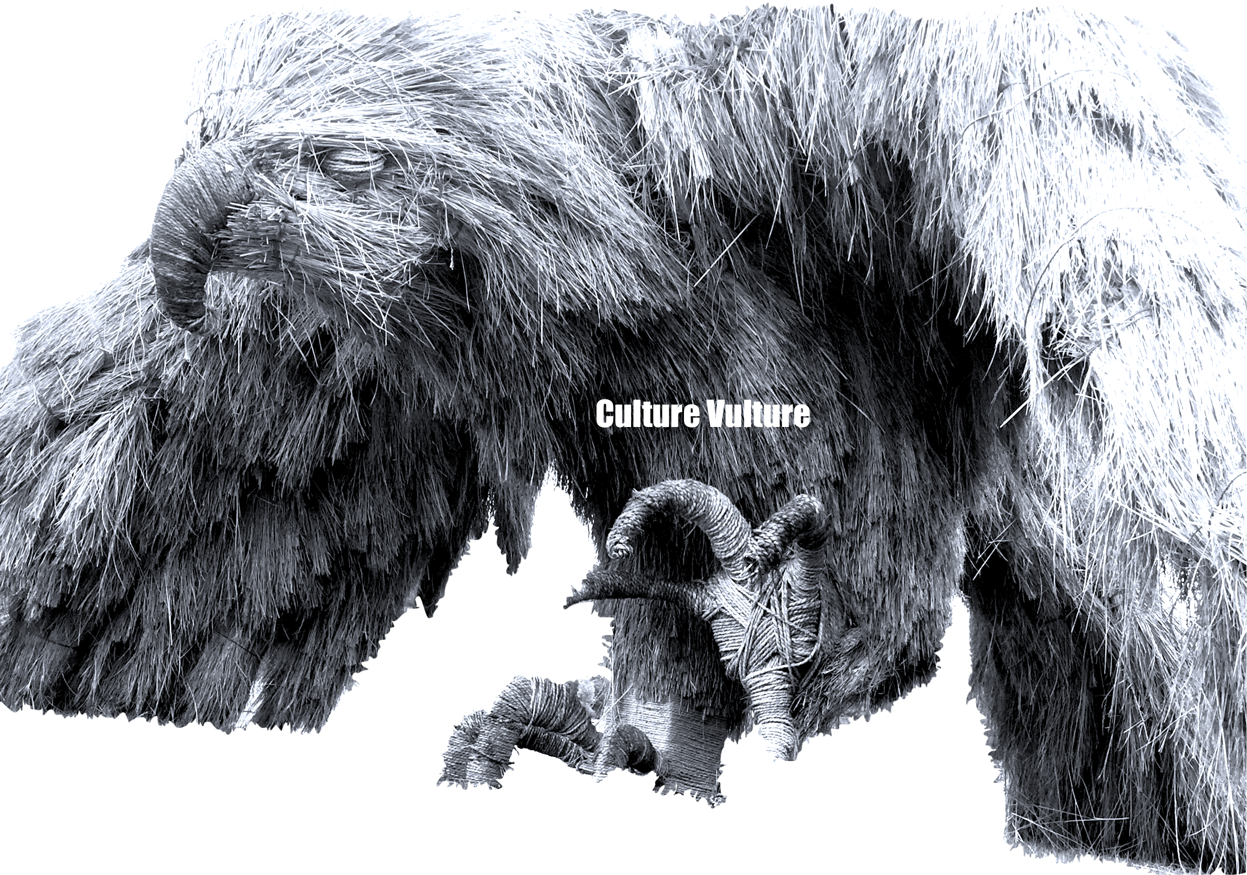 Culture Vulture Pic.png