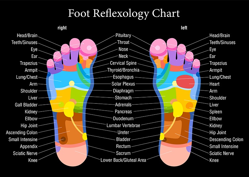 Foot Pressure Points Chart
