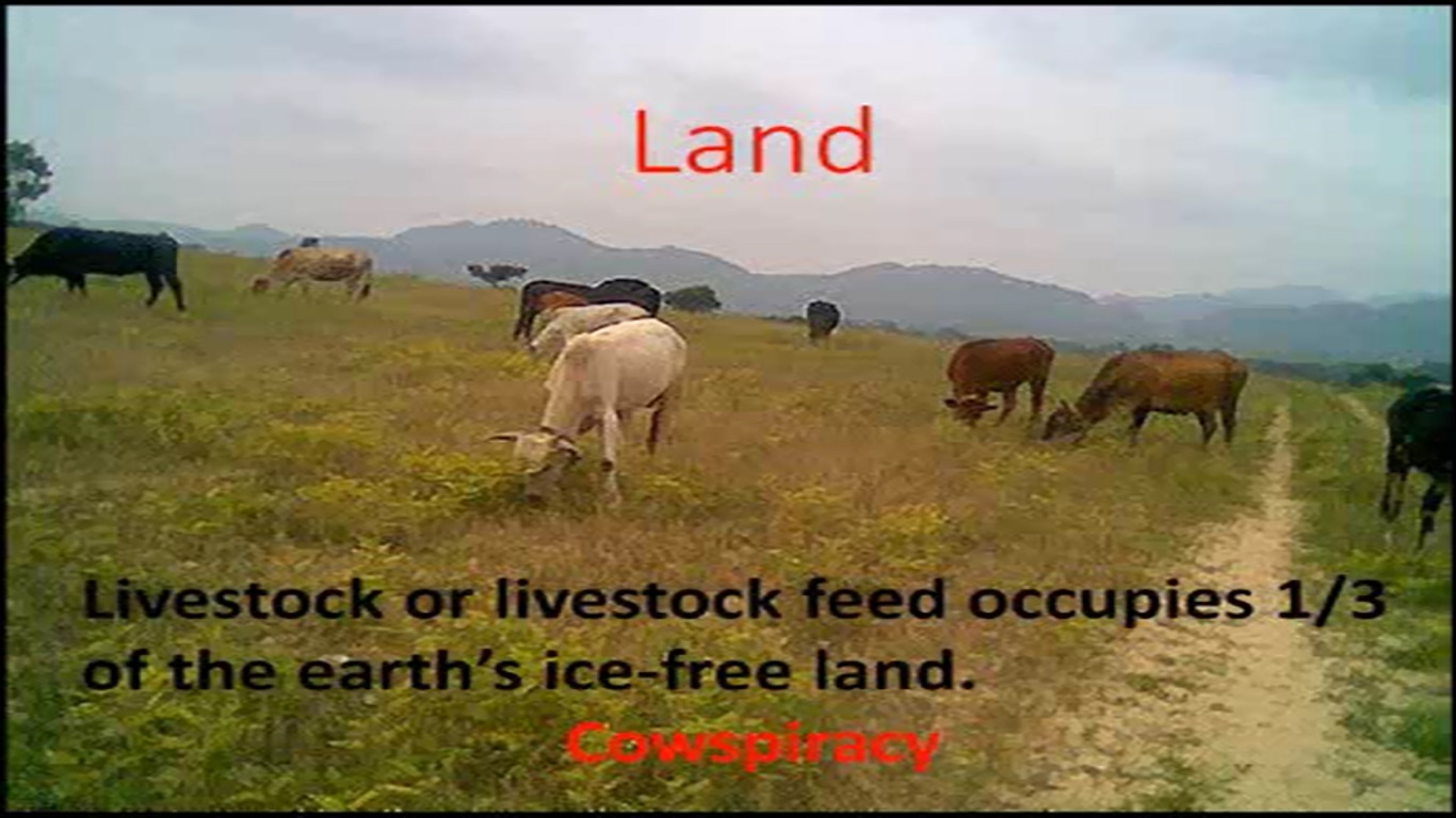 Land.jpg