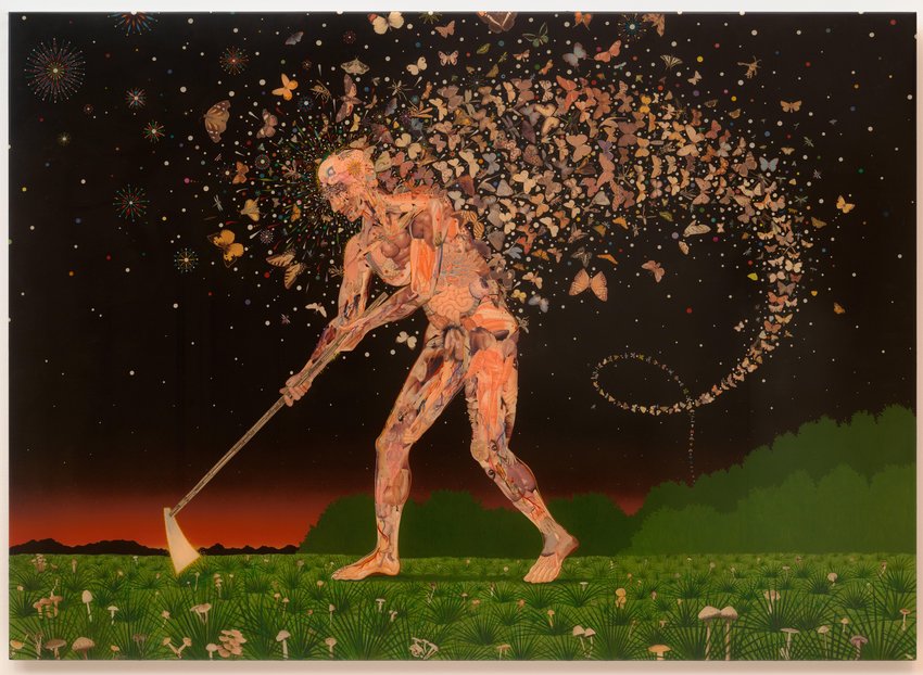 Fred Tomaselli, Field Guides.jpg