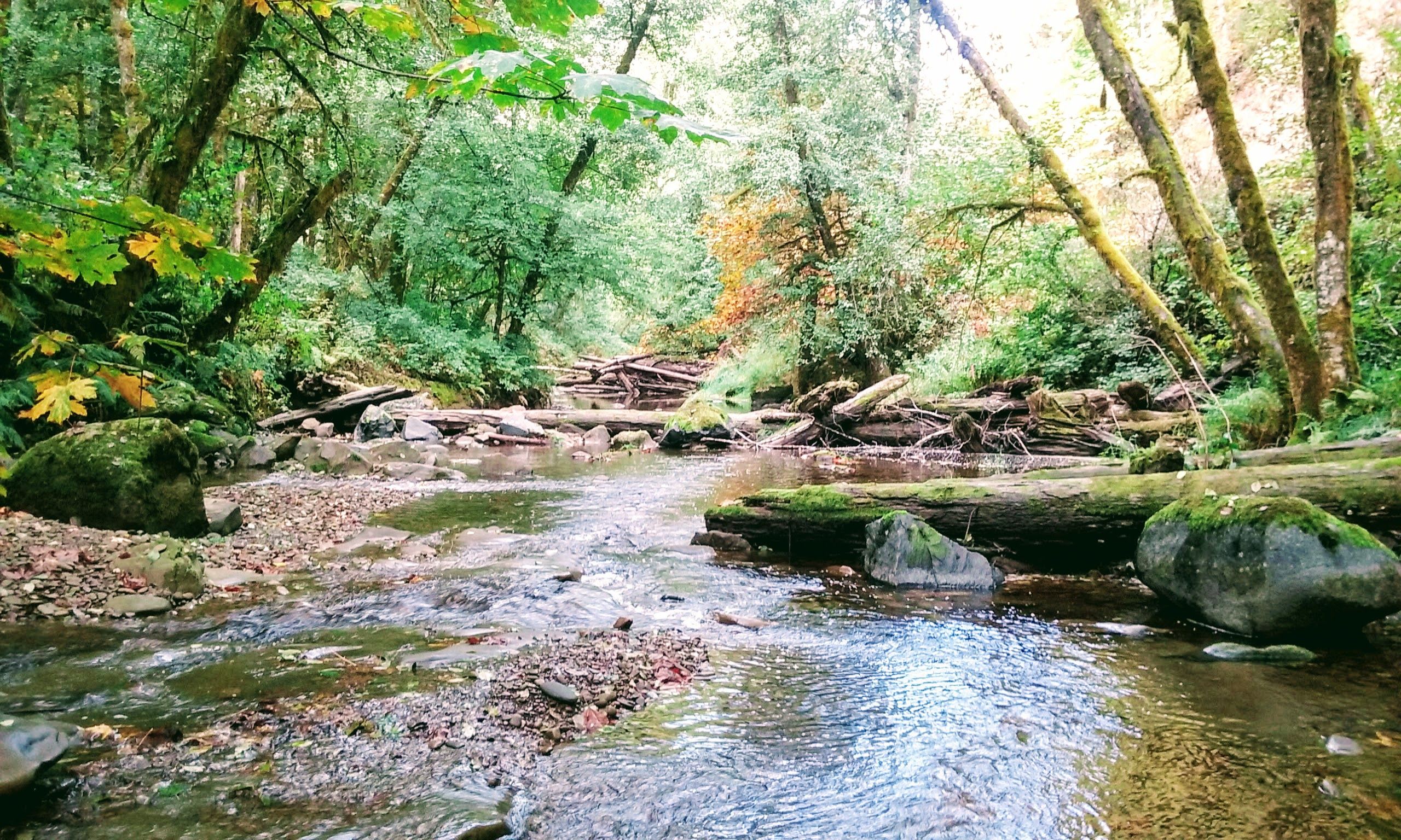 20161006_105236.jpg