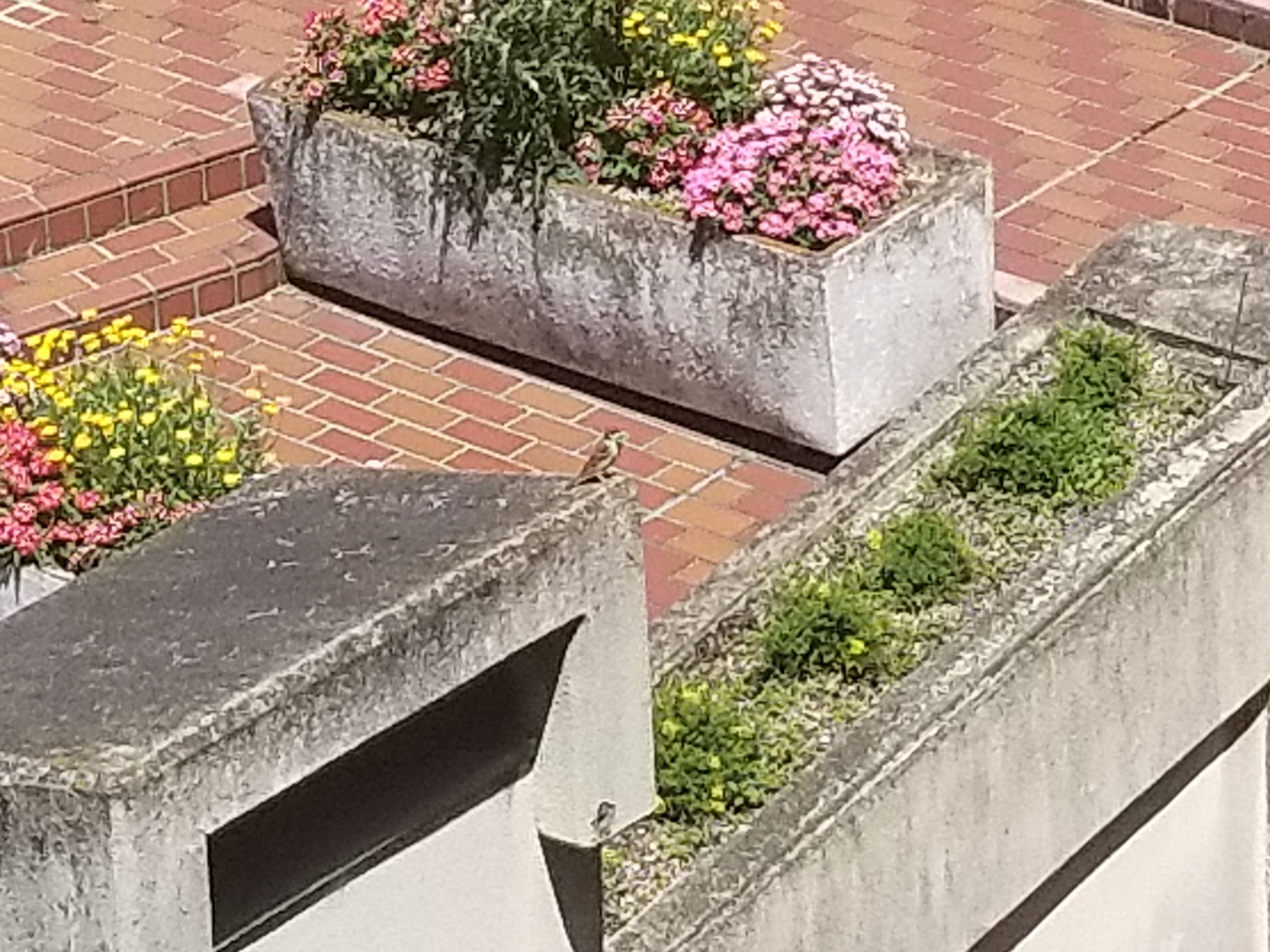 20180521_132834.jpg