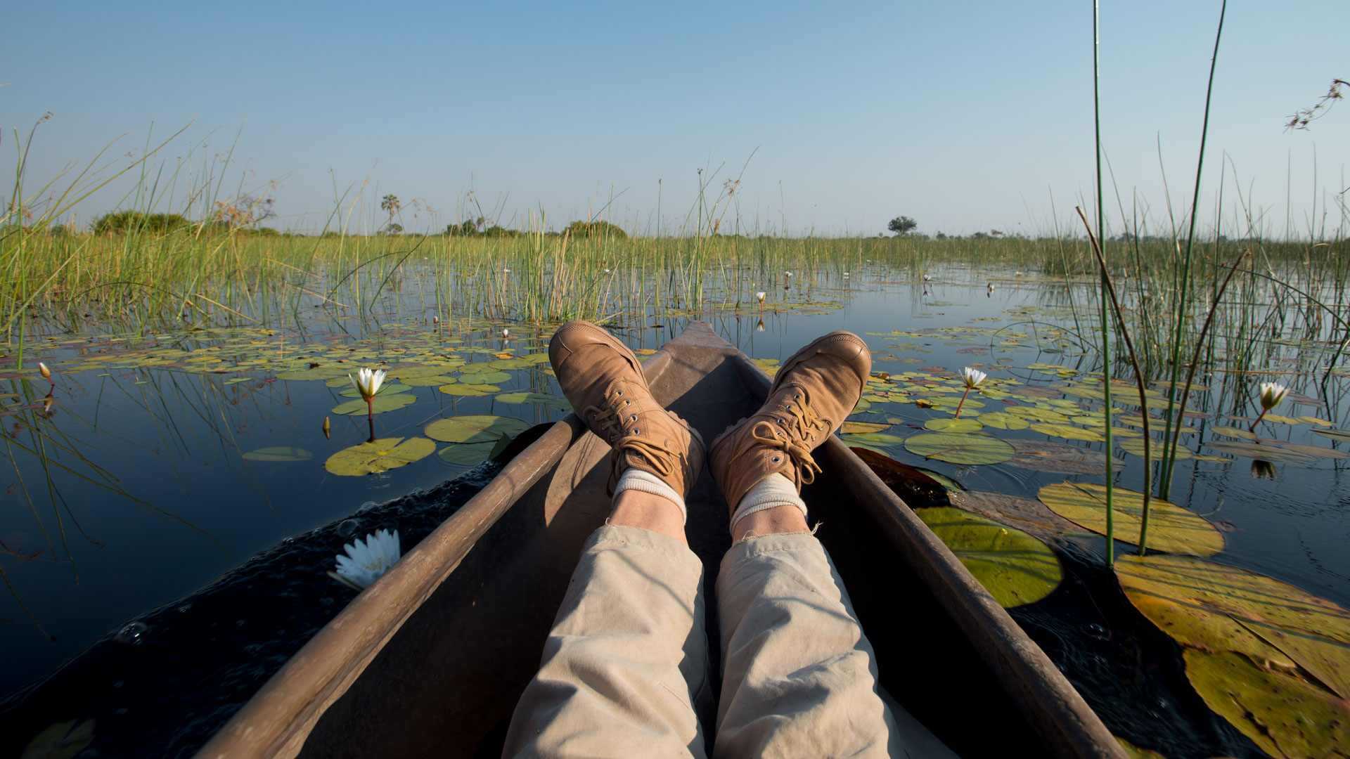 With-a-mokoro-in-the-Okavango-Delta-In-Botswana.jpg