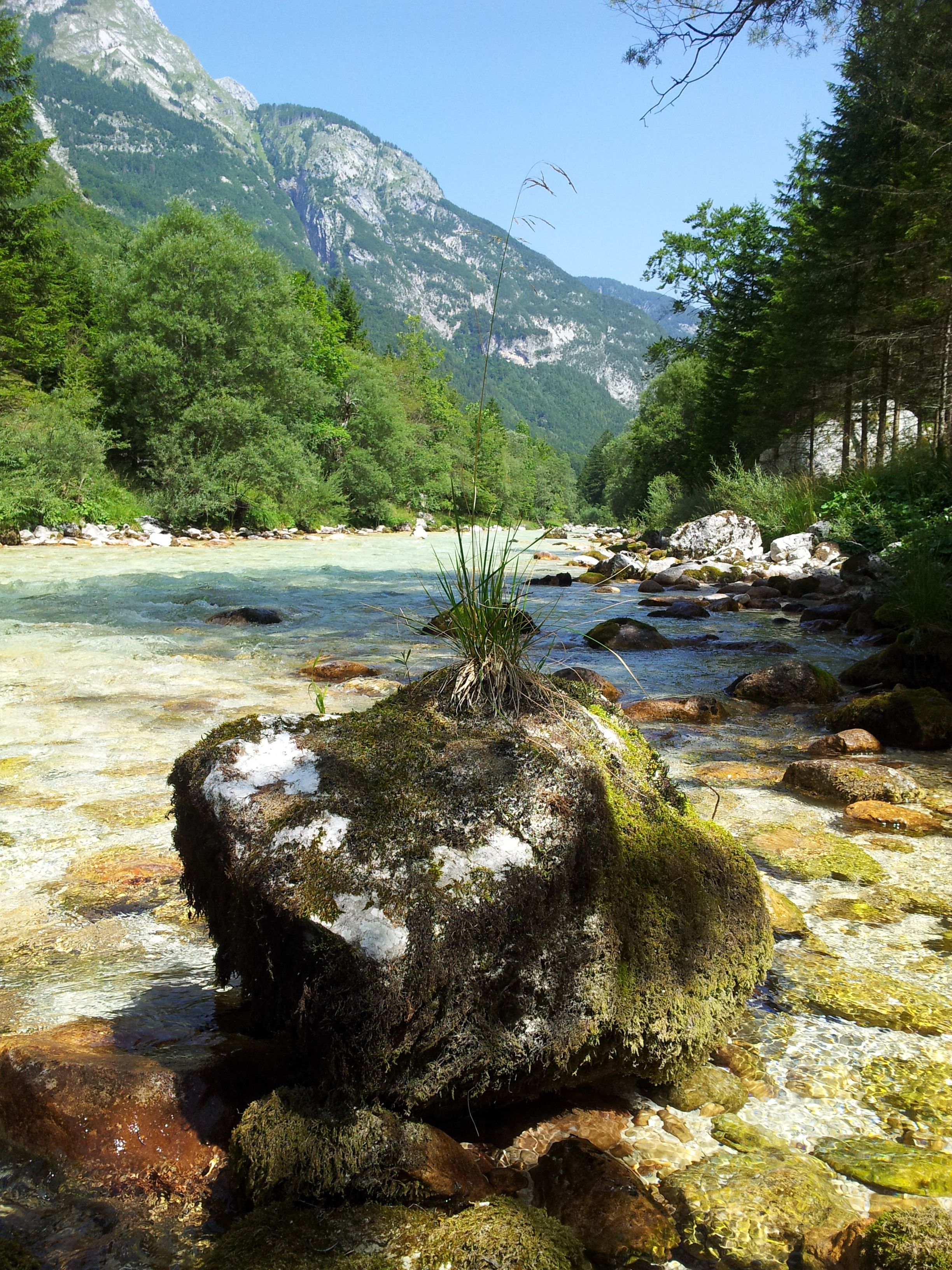 Slovenie - Triglasvki Parc - Autour de Soca - Aout 2017 (135).jpg