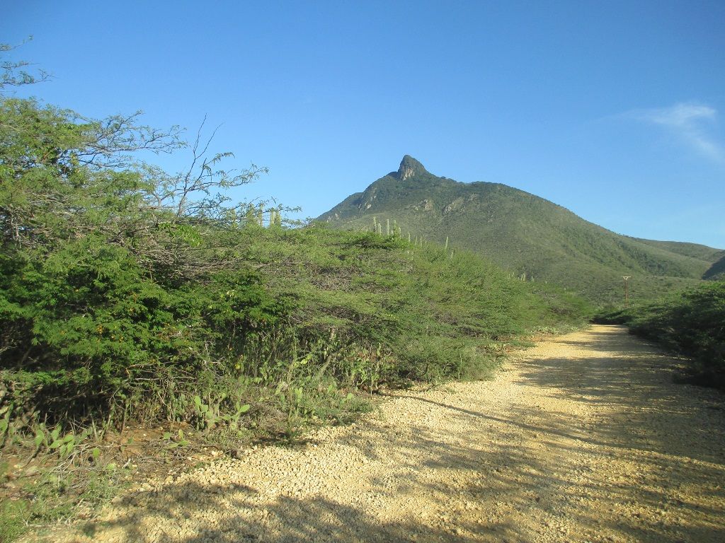 cerro.JPG